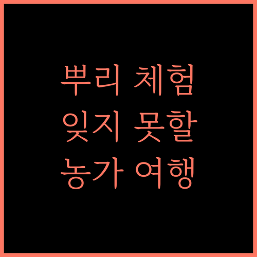 Into the Roots Farm Stay.. N자야필리 농가에서의 잊지 못할 추억!