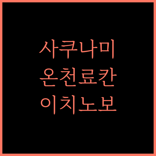 사쿠나미 온천 이치노보 완벽 분석 료칸 여행의 모든 것