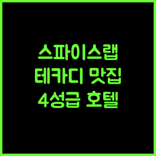 스파이스 랩 테카디 추천! 인도 데케이디 4성급 호텔 완벽 분석