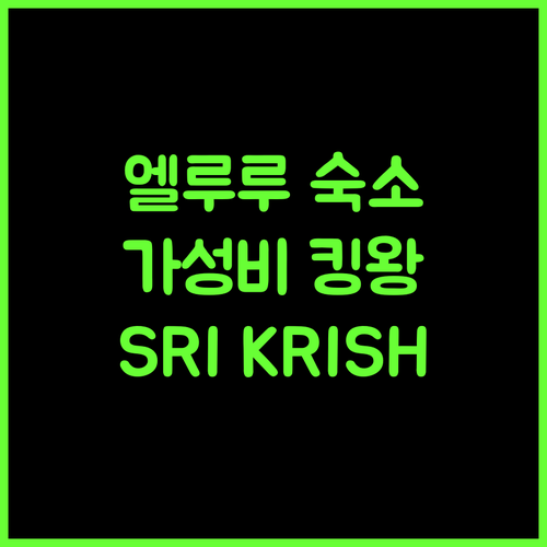 SRI KRISHNA RESIDENCY 엘루루 숙소 최고의 선택 가성비 최고 호텔
