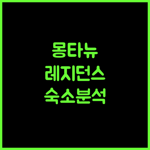 몽타뉴 레지던스 숙소 완벽 분석 가성비와 최고의 경험 보장!