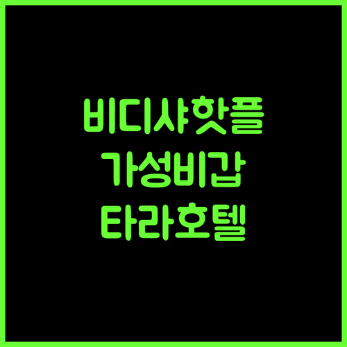 Shree Tara Heritage.. 비디샤 최고의 가성비 호텔, 지금 바로 예약! 비디샤 가성비호텔 여행필수