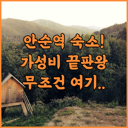 비엔나 인터내셔널 호텔 추천 후기! 고속열차역과 가까운 안순 가성비 숙소의 모든 것