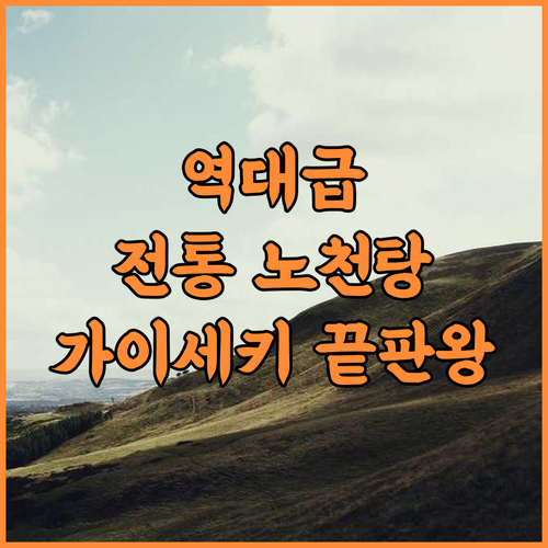 Gujohachiman No Yado Yoshidaya 추천 전통 노천탕과 가이세키가 훌륭한 일본 기후현 숙소 후기