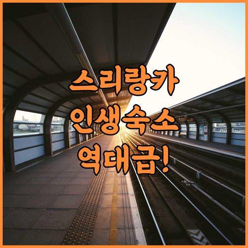 세렌디바 비치 호텔 후기 프라이빗한 힐링과 최고의 서비스를 선사하는 스리랑카 숙소 추천
