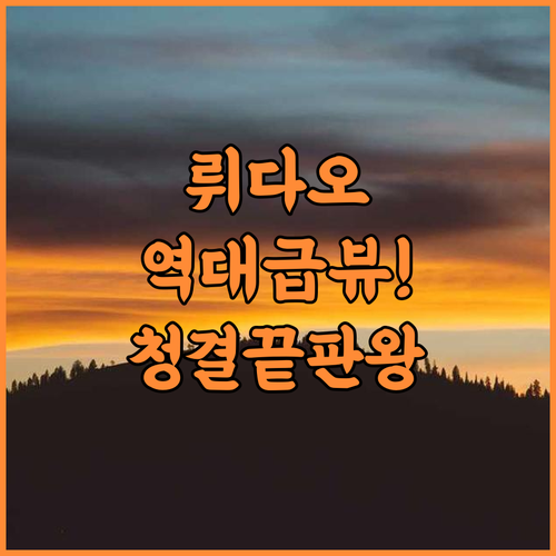 굿 뷰잉 스팟 비앤비 후기 오션뷰가 아름다운 뤼다오 청결한 호텔 추천
