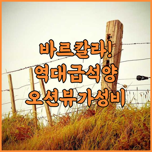 MARINE PRIDE BEACH RESORT 후기 환상적인 석양과 오션뷰를 갖춘 가성비 바르칼라 숙소 추천
