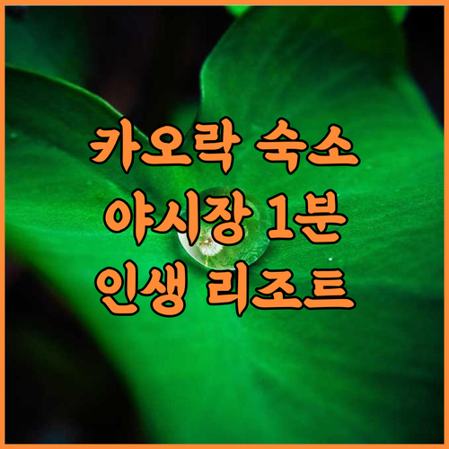 파나리 카오락 리조트 후기 야시장 접근성 좋은 카오락 도심 숙소 추천