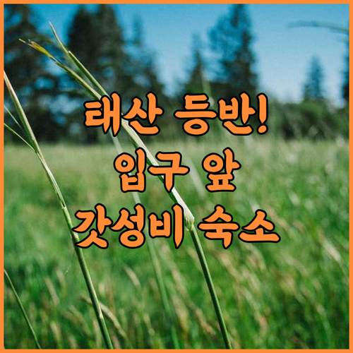 진장 인 타이안 타이산 마운틴 시닉 스팟 천와이춘 추천 태산 등반 입구와 가장 가까운 가성비 숙소 후기