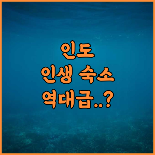 Rest Point Homestay 인도 켈라구르 자연 속 아늑한 분위기의 커플 숙소 추천 후기
