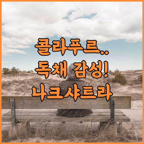 Hotel Nakshatra Resort 추천 프라이빗한 휴식을 위한 콜라푸르 독채 숙소 후기