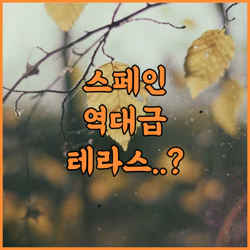 APARTAMENTOS LA PALMERA 추천 온수 욕조와 테라스가 매력적인 스페인 휴양지 숙소 후기