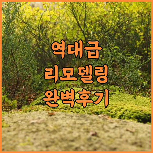 윈덤 가든 샤잔 프레이저스 힐 추천 리모델링으로 쾌적해진 현대적인 숙소 완벽 후기