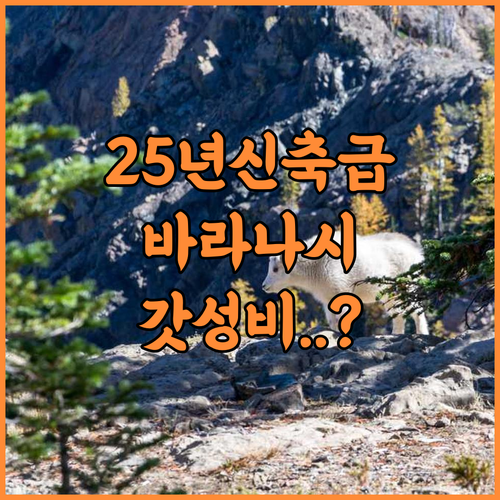 Hotel Zion Inn Cantonment Varanasi 후기 2025년 리노베이션으로 깔끔한 바라나시 가성비 숙소 추천