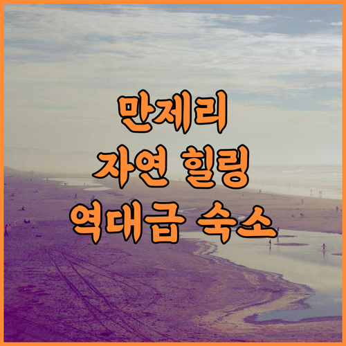 San Unik Homestay 후기 자연 속 힐링을 선사하는 만제리 숙소 추천
