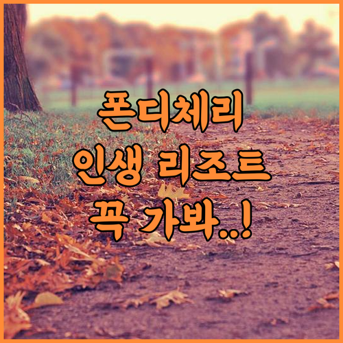 봉주르 보뇌르 오션 스프레이 추천 폰디체리 가족 여행을 위한 완벽한 5성급 리조트 후기