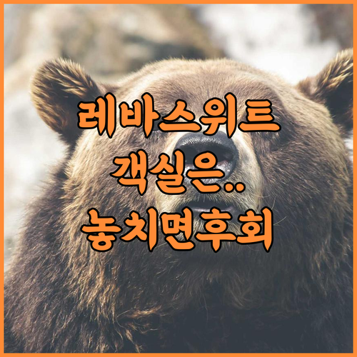 Reva suites 숙소 후기, 위치와 객실 환경 등 실제 이용후기 추천