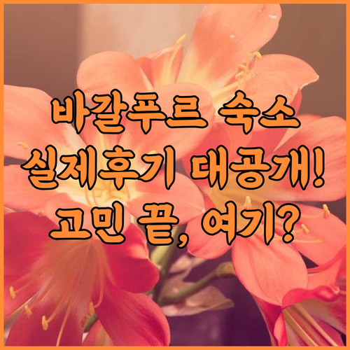 CHINMAYE INN 실제 이용후기, 바갈푸르 숙소 고민 끝에 선택한 이유와 총정리