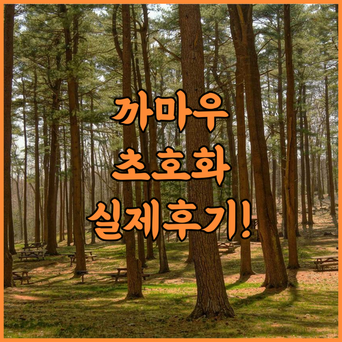 Muong Thanh Luxury Ca Mau 숙소 후기, 위치와 부대시설 실제 이용후기