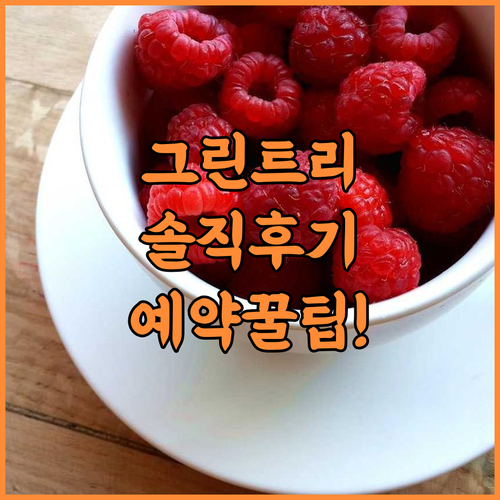 그린트리 인 핑량 진딩 타임스 스퀘어 솔직 후기, 예약 팁 정리